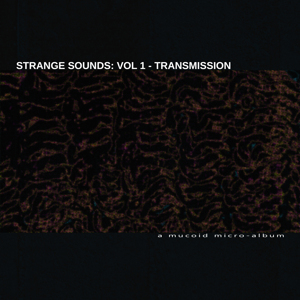 Strange Sounds Vol 1 [2020 Single]
